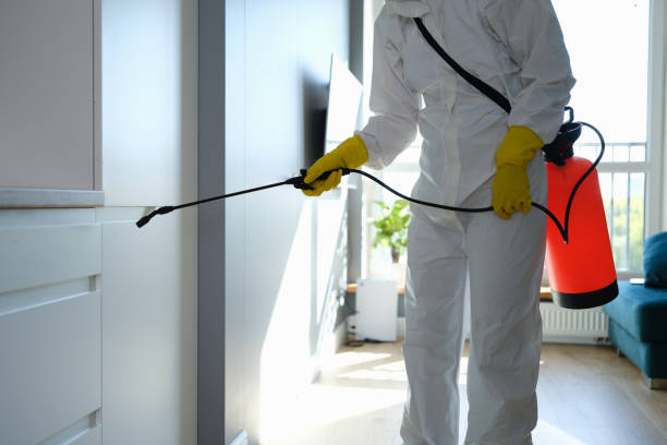 Mold Odor Removal Services in Vinton, VA